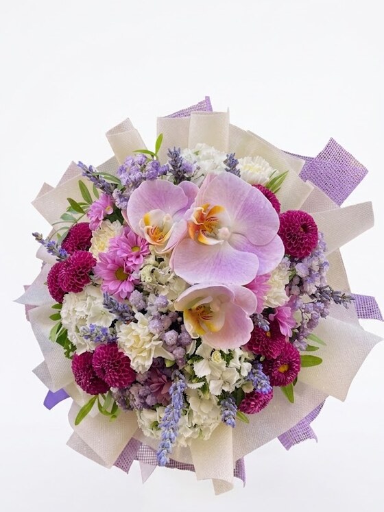 Violetta