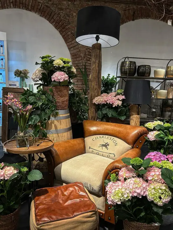I fiori di stagione in Sardegna, mese per mese